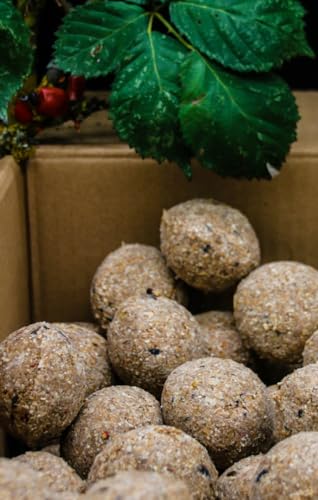 Anhaltiner Meisenknödel 100 Stück ohne Netz Vogelfutter Wildvogelfutter Meisenfutter eigene Produktion in Deutschland hergestellt