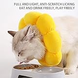 DKDDSSS B0BRVBR993 lato 4