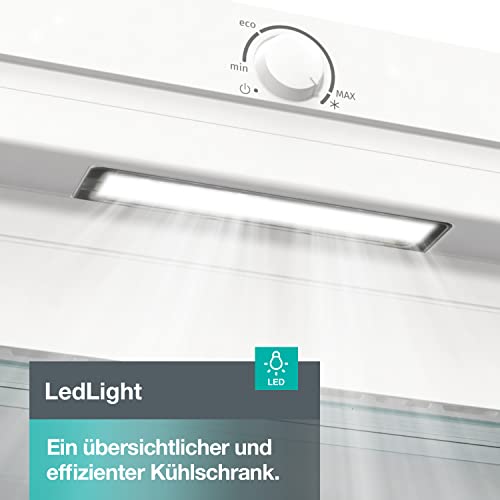 Gorenje FN 619 EEW5 Gefrierschrank/ 185 cm hoch/NoFrost/Inverter Compressor, Weiß,