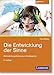 Produktbild Die Entwicklung der Sinne: Wahrnehmungsförderung im Kindergarten