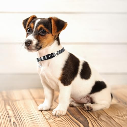 Collar Reflectante para Perros Pequeños XS y S Nylon Ajustable miniatura 2
