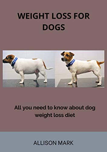 dog weight management