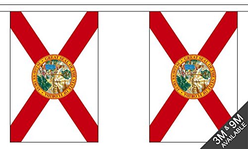 Flagtex Florida Fabric Bunting – 3m with 10 Flags – Indoor & Outdoor Decoration – String Flags Banners FL State USA American South Southeast