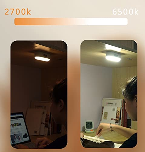 Vortex SED-20-01 Magnete a doppia faccia