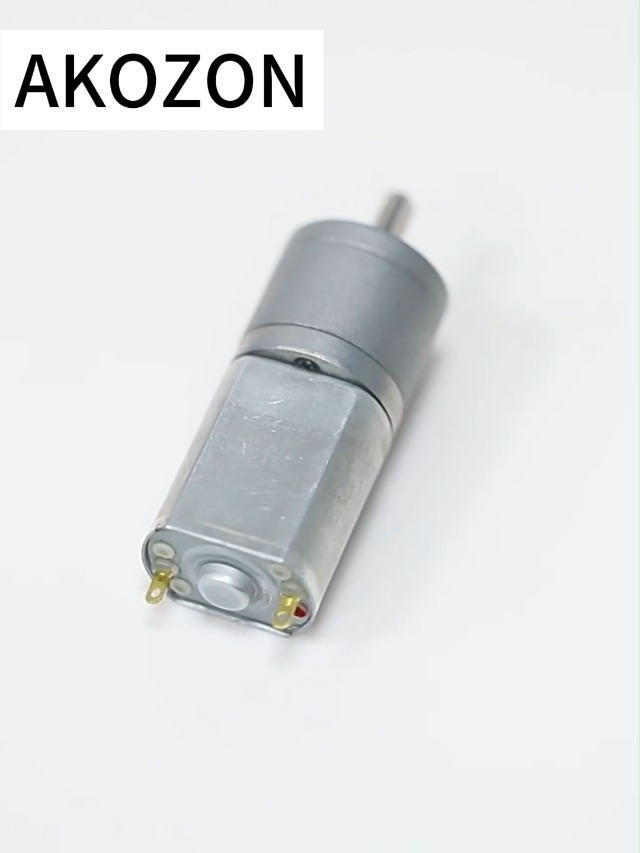 Motoriduttore DC 12V Riduttore reversibile per coppia elevata motore elettrico 15 ~ 200 RPM Diametro esterno 20MM (15RPM) (200RPM