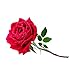 OliveNation Rose Extract, Premium Quality Floral Flavoring Extract for Baking, Cooking, Desserts - 4 ounces