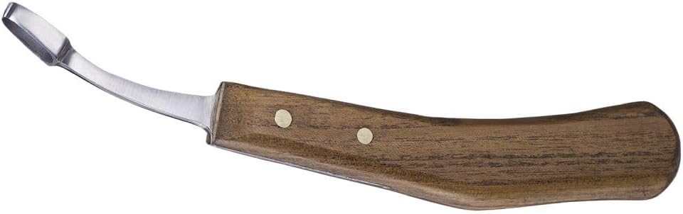 Tough 1 Professional Abscess Loop Knife
