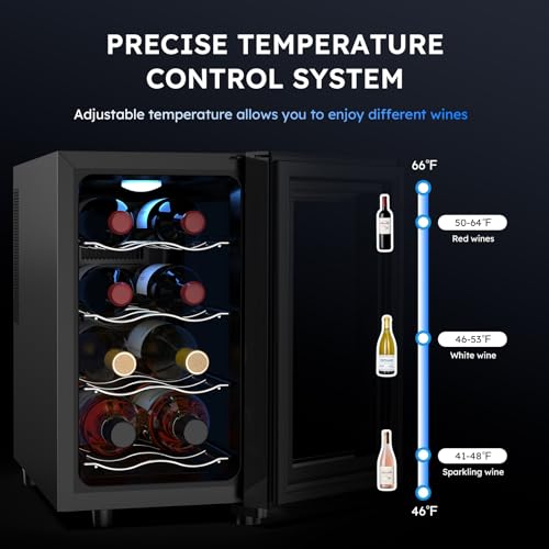 Mojgar 8 Bottle Wine Cooler, Freestanding Wine Fridge with 46-66 ℉ Digital Temperature Control, Countertop Wine Refrigerator for Wine Enthusiast, 23 L