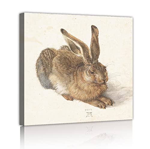 Fine art toile murale jeune lièvre impression HD Dürer de qualité
