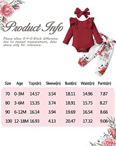 Image of Newborn Baby Girl Clothes Infant Girls Outfits Ruffle Sleeve Romper Bodysuit Floral Pants Toddler Baby Girl Outfits