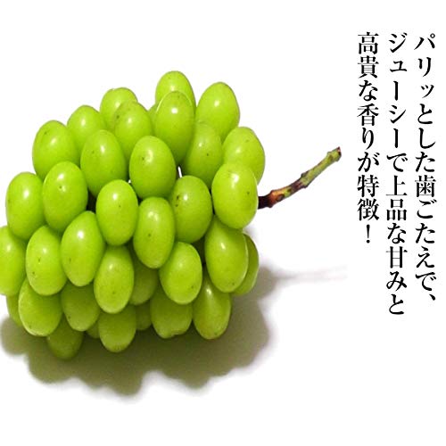 ノーブランド品 晴王シャインマスカット の商品画像 3