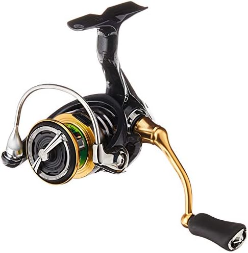 Daiwa Exceler LT 5.2:1 Left/Right Hand Spinning Fishing Reel - EXLT1000D,Multi