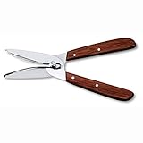  Victorinox ciseaux pour la cueillette des baies et les raisins, inox