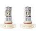 Putco 25PSX24 Optic 360 H20 High Power LED Fog Lamp Bulb