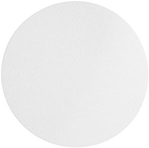 Omicron 133047 Borosilicate Glass Fiber Binder Free Filter thumb #1