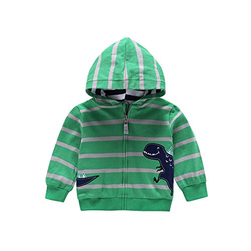 0-3 Years Old Toddler Baby Boys Girls Long Sleeve Cartoon Dinosaur Printed Hoodies Kids Infant Cute Warm Sweatshirt Zip-up Jacket Coat (9-12M, Green)