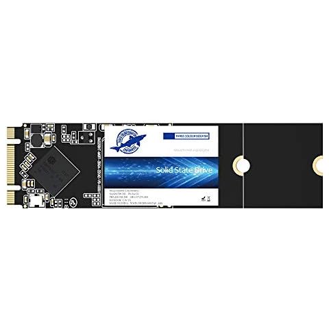 SSD M.2 2280 2TO THREE COLOUR DOGFISH Cover