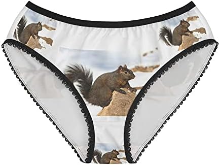Black Squirrel Panties, Black Squirrel Underwear, Briefs, Cotton Briefs, Funny Underwear, Panties For Women