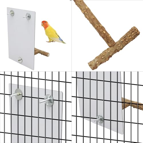 Image of Large Bird Stand Perch with a Mirror and Bells, Bird Toys, Parrot Perch Stand, Cage Accessories for African Grey Budgie Cockatiel Lovebird Conure Small to Medium