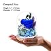KING DOO Preserved Flowers Rose for Women Mom Grandma Wife. Forever Eternal Blue Real Rose Gift Thanksgiving Christmas