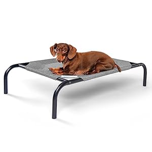 COOLAROO-The-Original-Cooling-Elevated-Dog-Bed-Indoor-and-Outdoor-Small-Grey