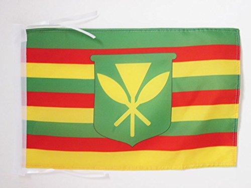 AZ FLAG - Hawaii Kanaka Maoli Flag - 18'' x 12'' - 100% Polyester Native Hawaiians Small Banner with Two Cords - Fade Resistant - Vivid Colors - 18x12 in - 45x30 Cm