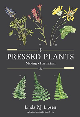 Pressed Plants view 2