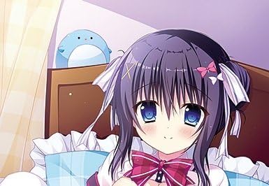 Amazon メロンブックス うり坊ざっか店 たのますずめ Wスエードb2タペストリー Ver 7 アニメ 萌えグッズ 通販