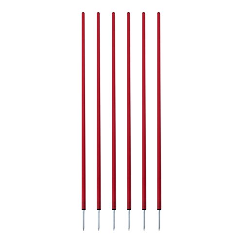Champion Sports Coaching Sticks, Red