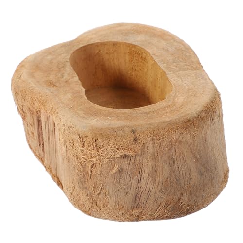 BESPORTBLE Vasi Per Piante Succulente Vaso Da Fiori Portafiori Case Luminose Decorazioni Per Il Giardino Decorazioni Per La Casa Vaso Da Fiori Supporto Floreale Decorazione Carnosa Per La