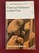 Clerical celibacy under fire: A critical appraisal (Sheed & Ward stagbooks)
