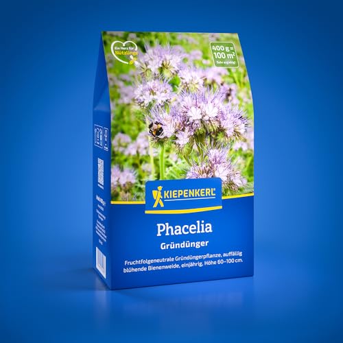 Kiepenkerl Phacelia 1081200 - fruchtfolgeneutraler Gründünger - auffällig blühende Bienenweide - circa 60-100cm - Gründünger Bodenlockerung Bodenverbesserer