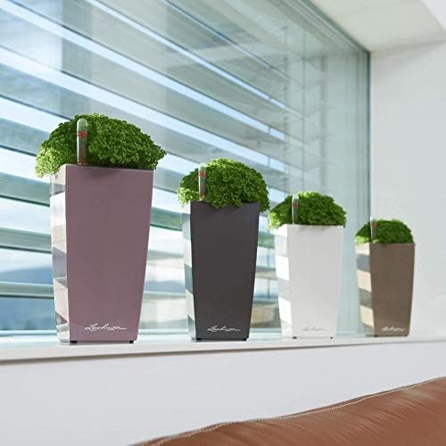 LECHUZA MINI CUBI Self Watering Planter Small Flower Plant Pot Indoor Table Planter without Drainage Hole with Plant Substrate Poly Resin H18 L9 W9 cm White High-Gloss