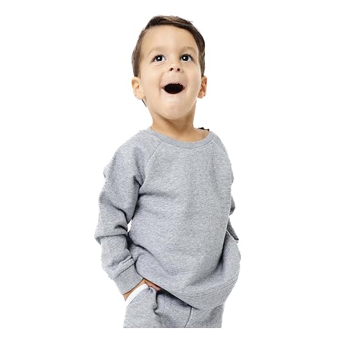 Copper Pearl Crew Sweatshirt: Ultra-Soft Gender Neutral Toddler Sweatshirt, Perfect Cozy, Classic Fit Baby Sweatshirt for Baby Boy Clothes and Baby Girl Clothes - Gray, 18-24m
