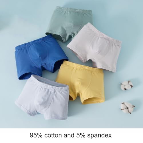 Seamless Tagless Toddler Boxer Briefs for Boys – Cotton Soft Comfortable Kids Underpants, Ages 3-24 Years (Pack of 5)2