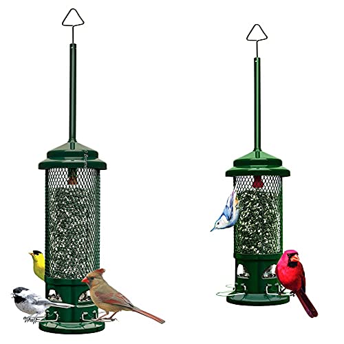 Brome Squirrel Buster Legacy & Standard Squirrel-Proof Bird Feede...