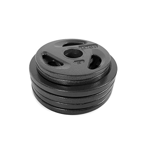 WF Athletic Supply Cast Iron Olympic 2-Inch Grip Plates for Strength Training, Weightlifting and Crossfit (50LB Combo) (5LB X 2