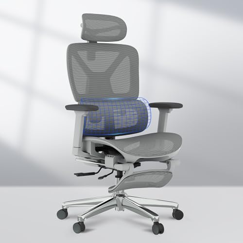 FLEXISPOT ErgoX Premium Ergonomic Office Chair with Footrest- Adjustable 3D