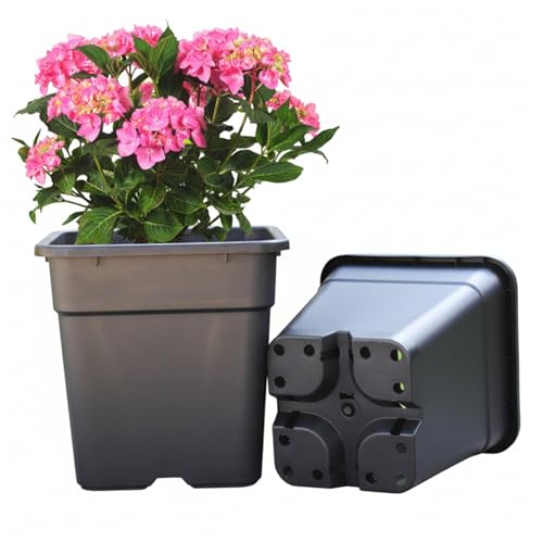 Pot de pépinière 10 gallons pour terrasse et potager