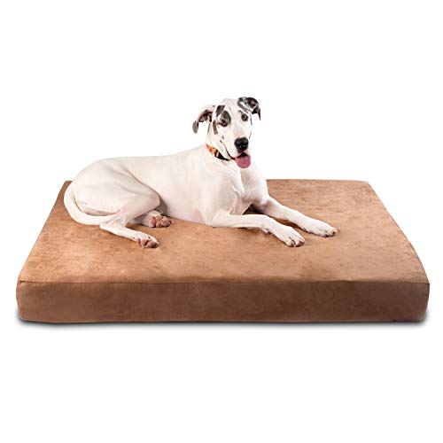 Carhartt Dog Bed Review Pros and Cons That You Should Know