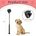 GSNYSAN Random 2 Colors Dog Training Stick Pole, Puppy Training Tools Whip with Anti-Slip Handle, Outdoor and Indoor Exercise Interactive Dog Pole for Small Medium Dogs (Random 2Colors)
