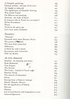 Challenge: an encounter with Lubavitch-Chabad 0901927031 Book Cover