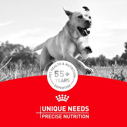 Royal Canin Dry Dog Food, Dachshund Formula, 10-Pound Bag by Royal Canin