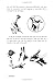 Ben Hogan's Five Lessons the Modern Fundamentals of Golf Paperback