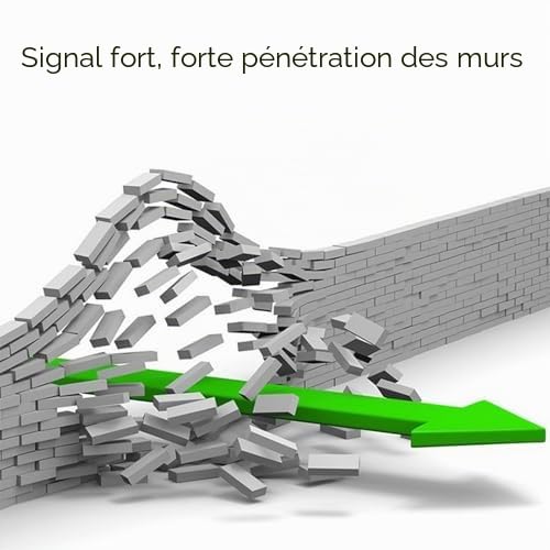 Commutateur à Distance sans Fil RF Portée 5000M Contrôle 360 pour Pompes à Moteur et Lumières Monophasé