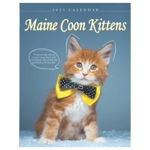 Maine Coon Kittens Calendar 2023: Gorgeous 8.5"x11" Mini Calendar 2023 with gorgeous, full-color photos. The perfect inspirational gift for yourself or someone special in your life!