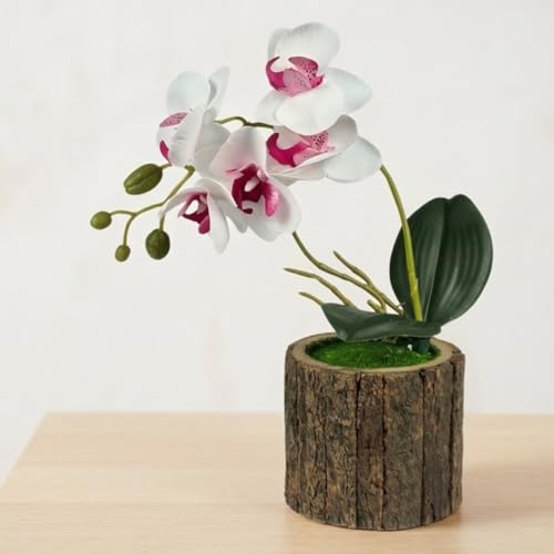 Image of Dekorly Artificial Orchid Flower Plant with Decorative Pot | 1 Stick Faux Orchid Plant | 20 cm Tall Indoor Tabletop Decor for Home, Living Room, Office Desk, Shelf, Hotel & Gift Decoration (White)
