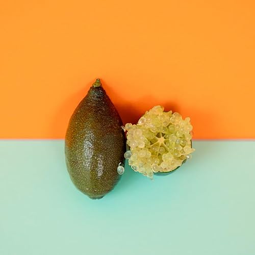 Miniatura 4 de Caviar Cítrico 200 G, La Parcela, Origen España, Andalucía Costa Tropical , Comprar Caviar Cítrico Fresco, De La Huerta A Tu Casa, Producto De Cooperativa Granada La Palma