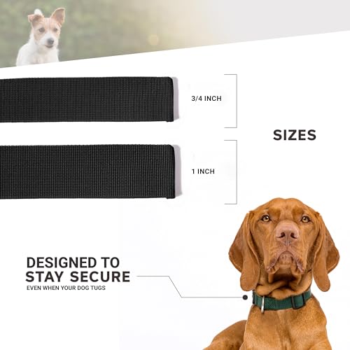 Image of Dog Collar - Colored Adjustable Pet Collars, 1 Inch Wide, Extra Large, Yellow