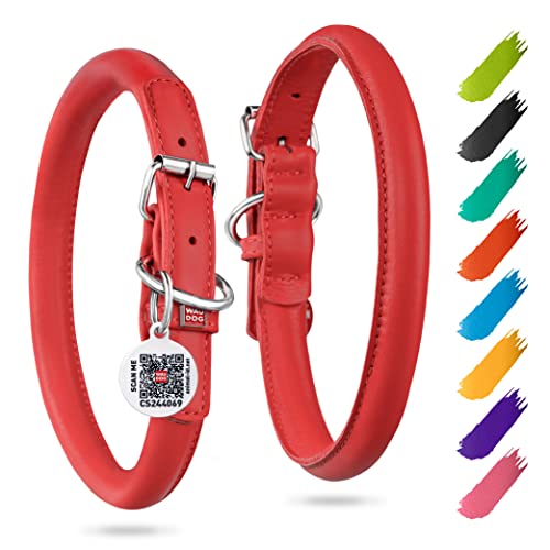 WAUDOG Ultra Soft Rolled Leather Dog Collar - Soft Padded for Small and Medium Breeds - Puppy Collar for Male and Female Dogs by WAUDOG - Used condition - US$12.81